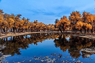 突然神秘失踪四年 《偏执狂：强制幸福》重新上架